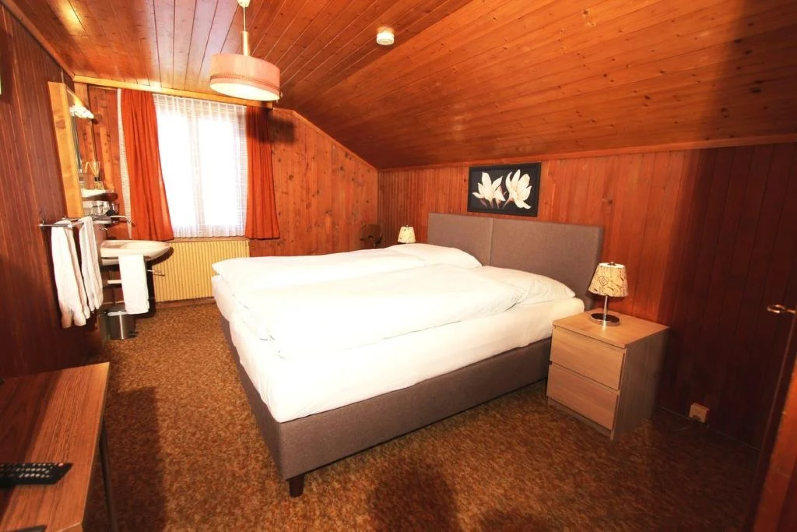 Hotel Restaurant Alpina