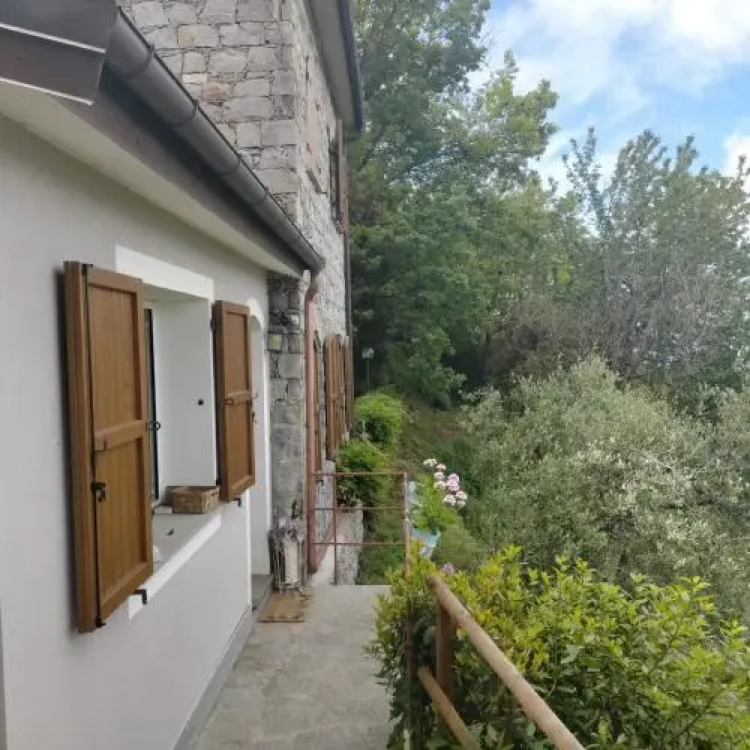 The House In The Green