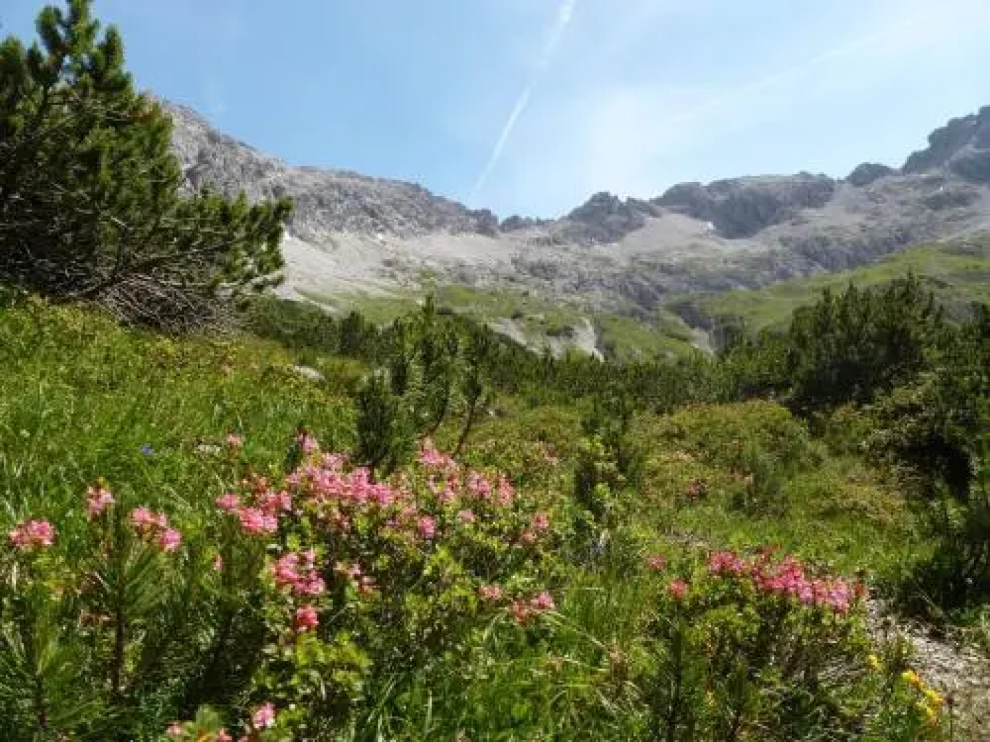 Ferienwohnung Lisi Hartmann