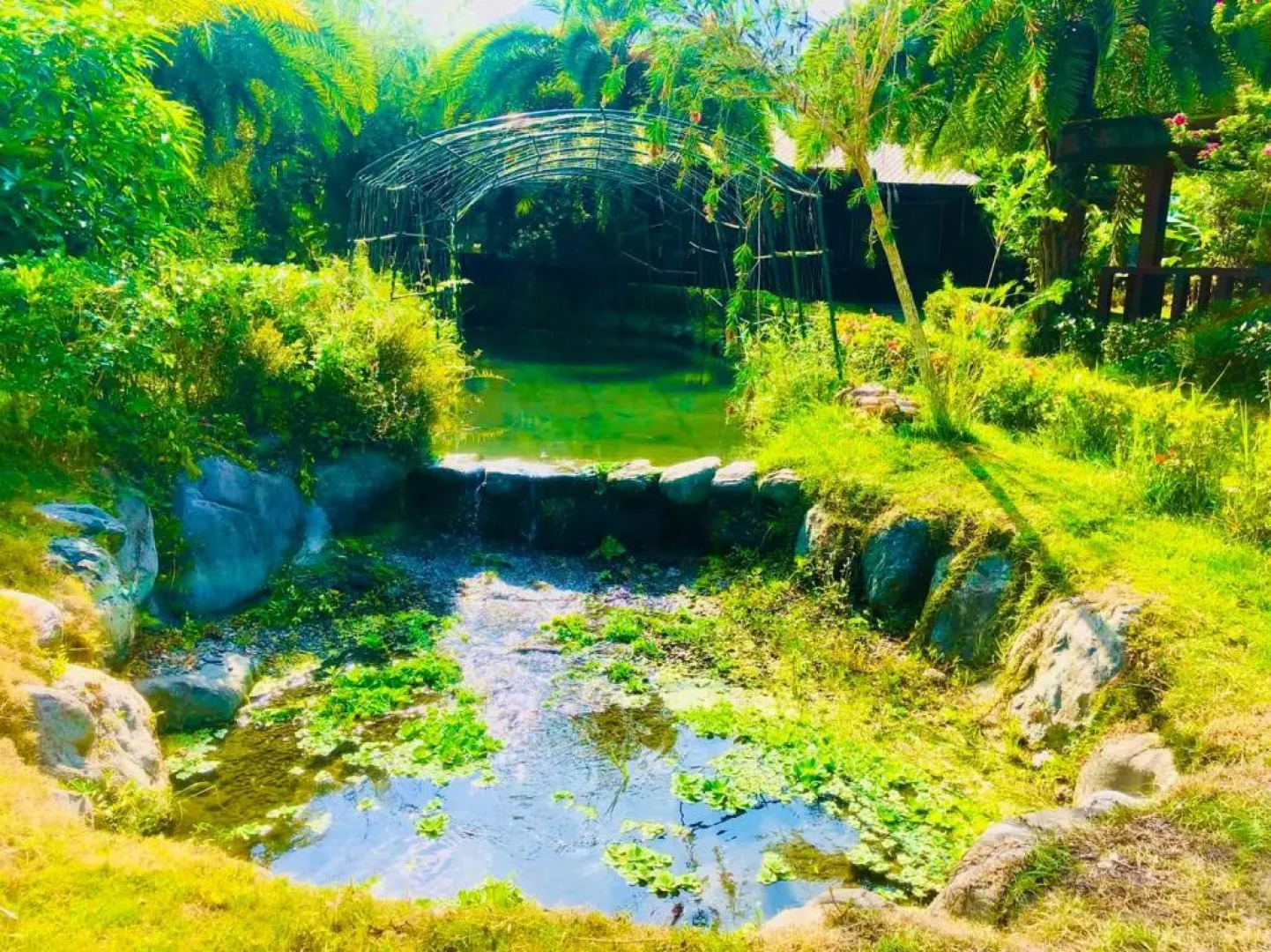 Ruisui Palm Lakes B&B