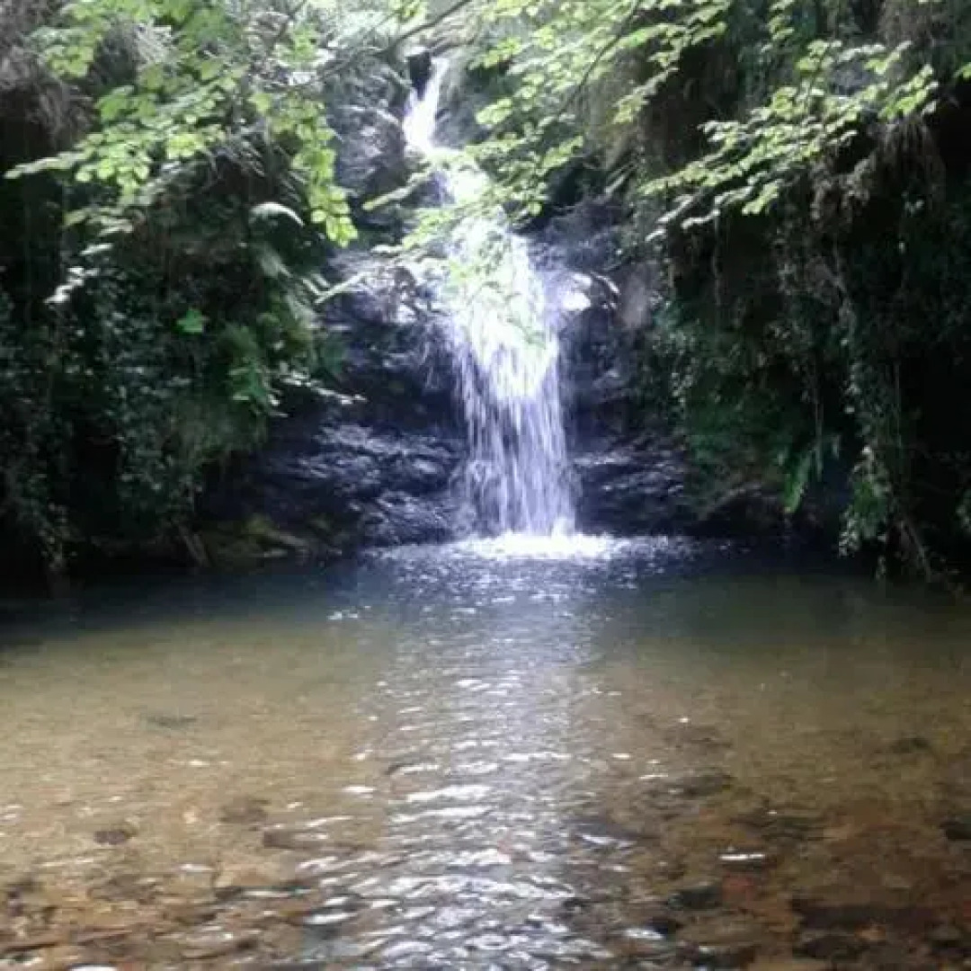 La Riguera De Ucieda