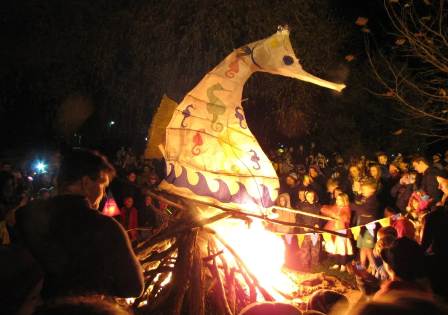 Cygnets Secret Garden