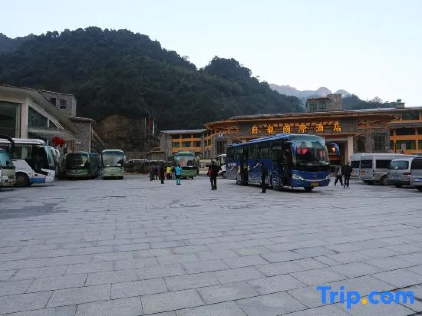 Wolong International Hotel