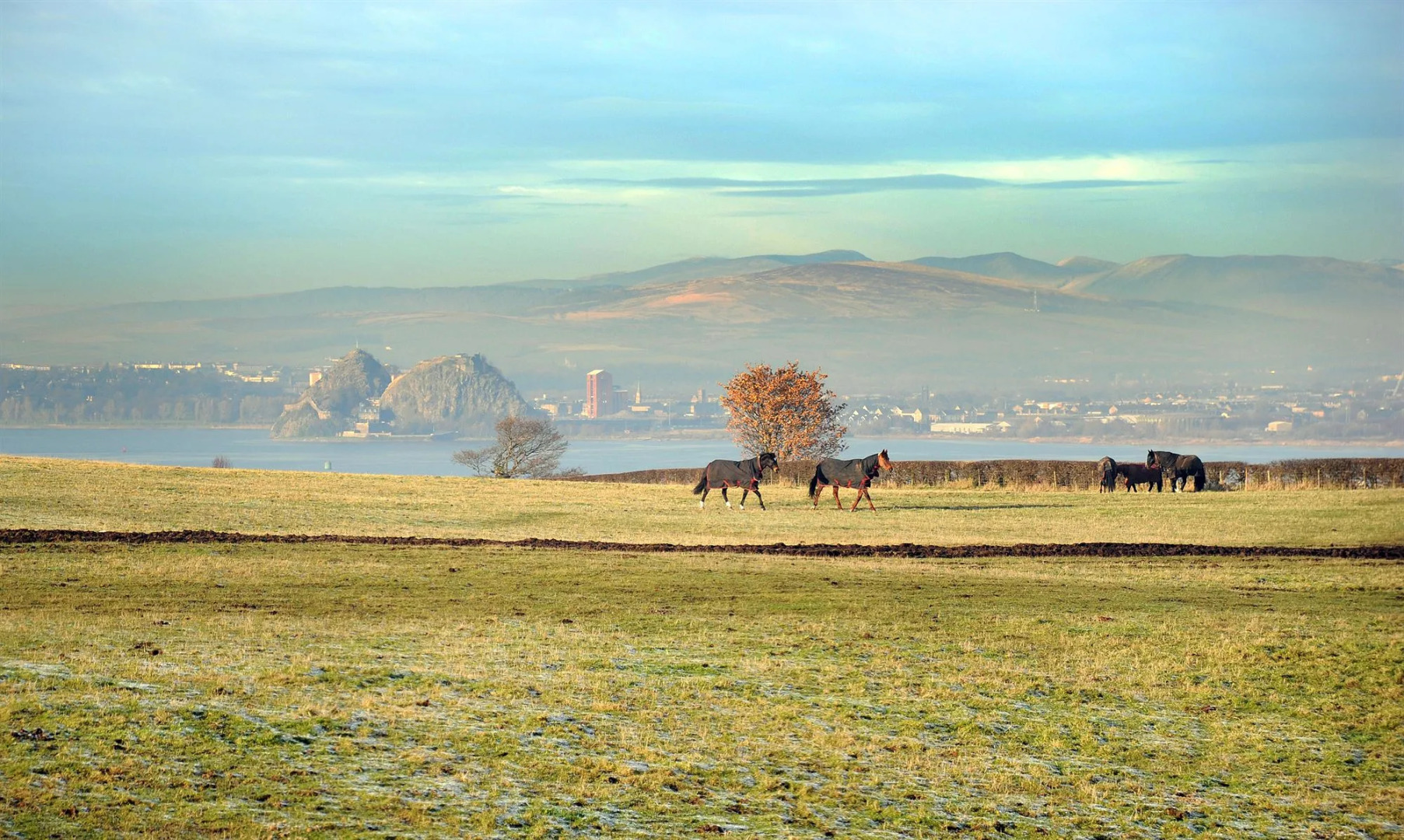 Ingliston Country Club Hotel