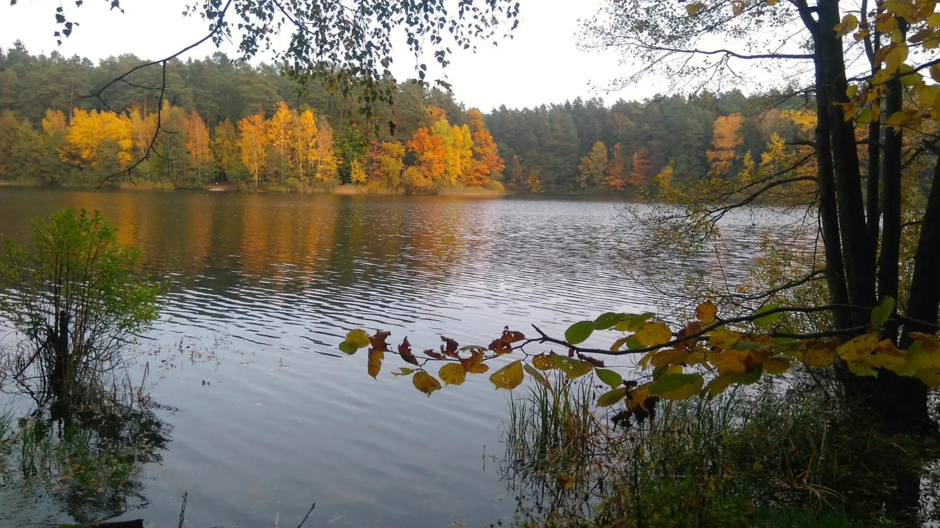 3-Pokojowy Apartament Villa Park Top Location