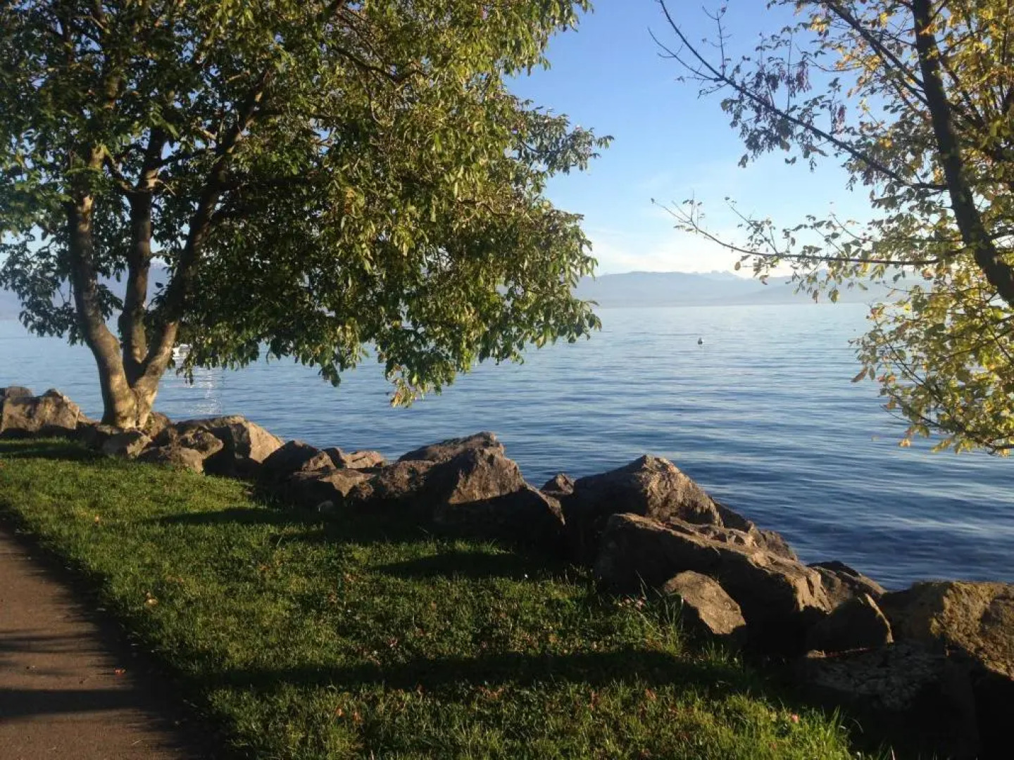 Chambre D'Hôtes Wellingtonia