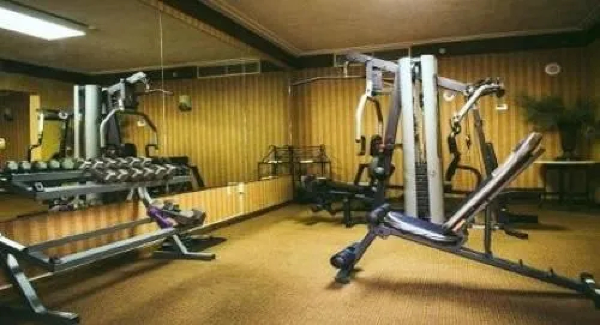 Wyndham Garden  Amarillo