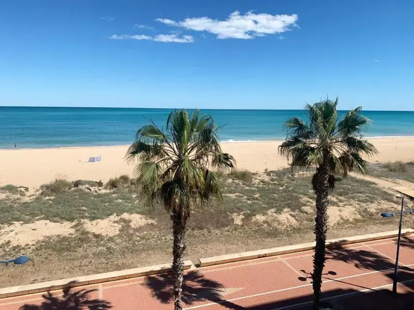 Papa Luna 1ª Linea 3000