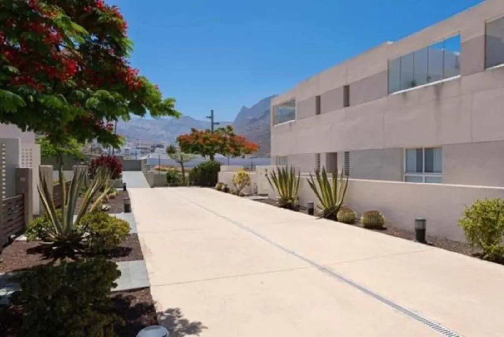 The New Suite, Agaete