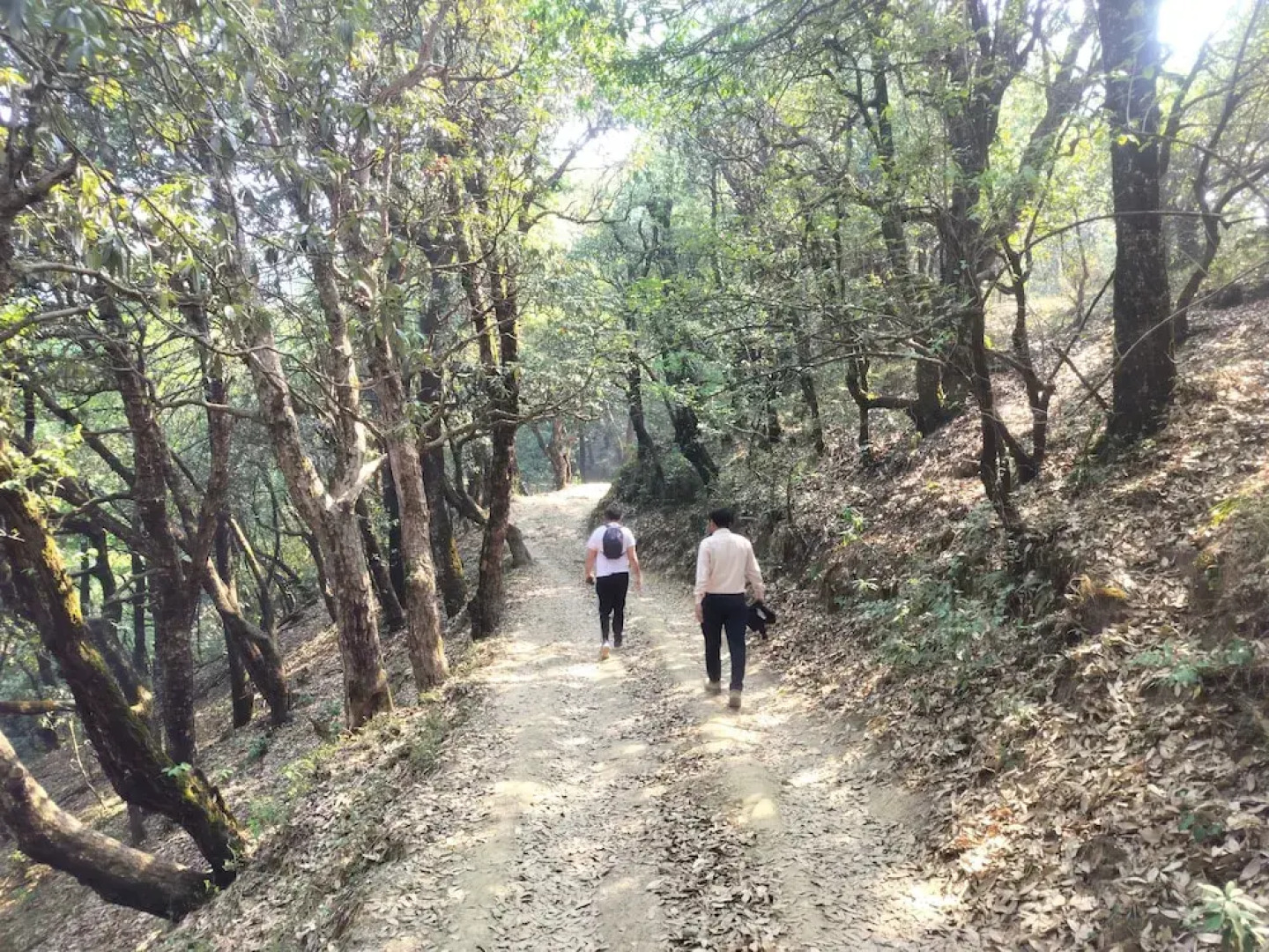 Simba Jungle Lodge, Binsar Wildlife Sanctuary