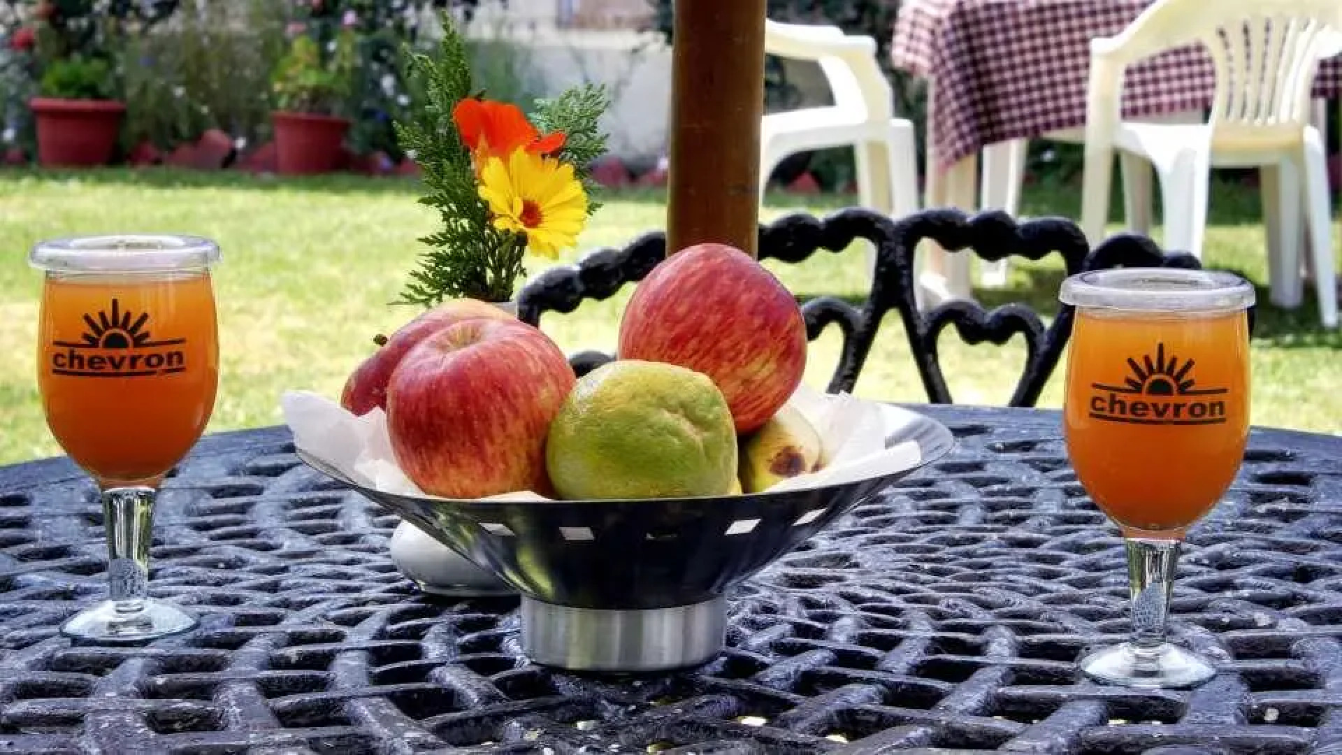 Chevron Ranikhet Club