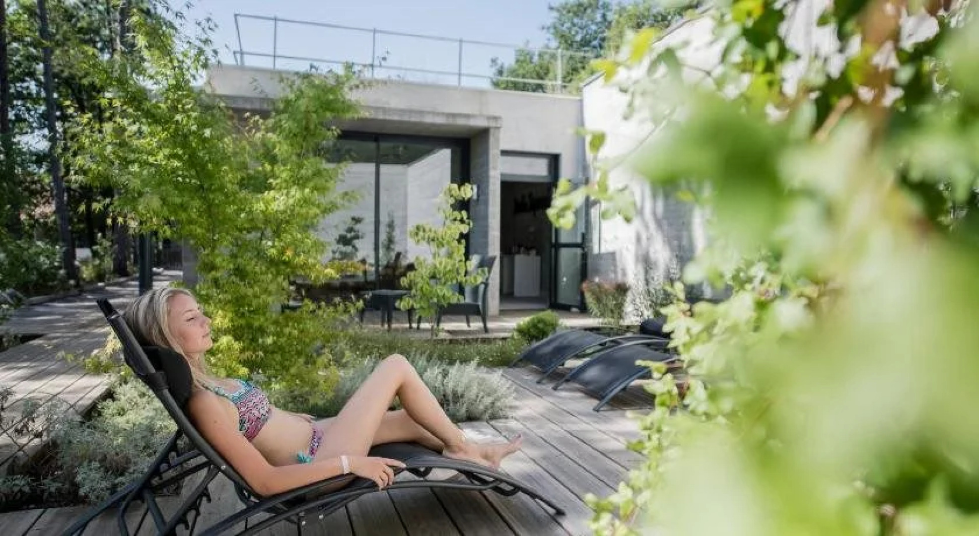 Domaine LOU Capitelle