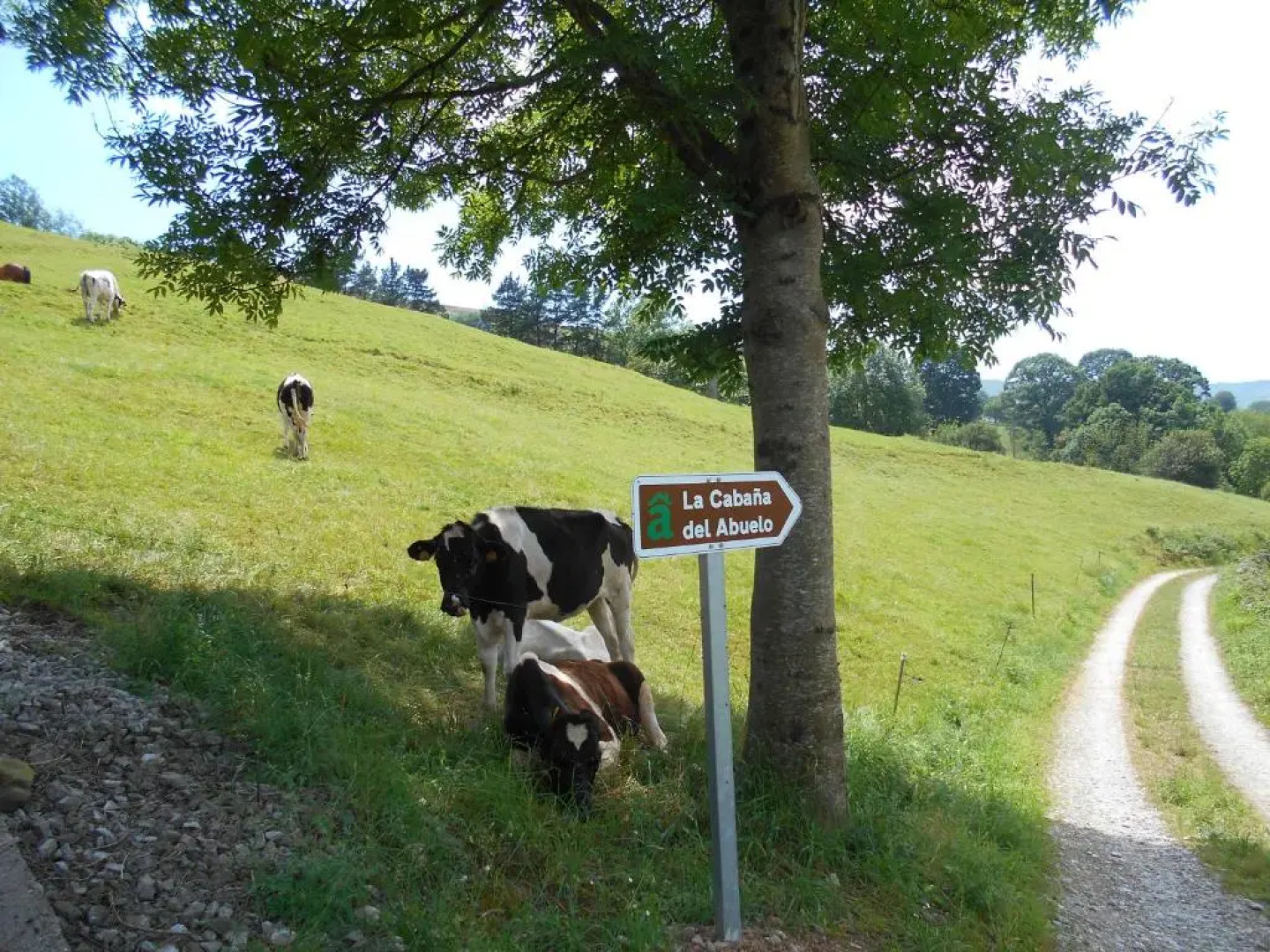 La Cabaña del Abuelo de Selaya