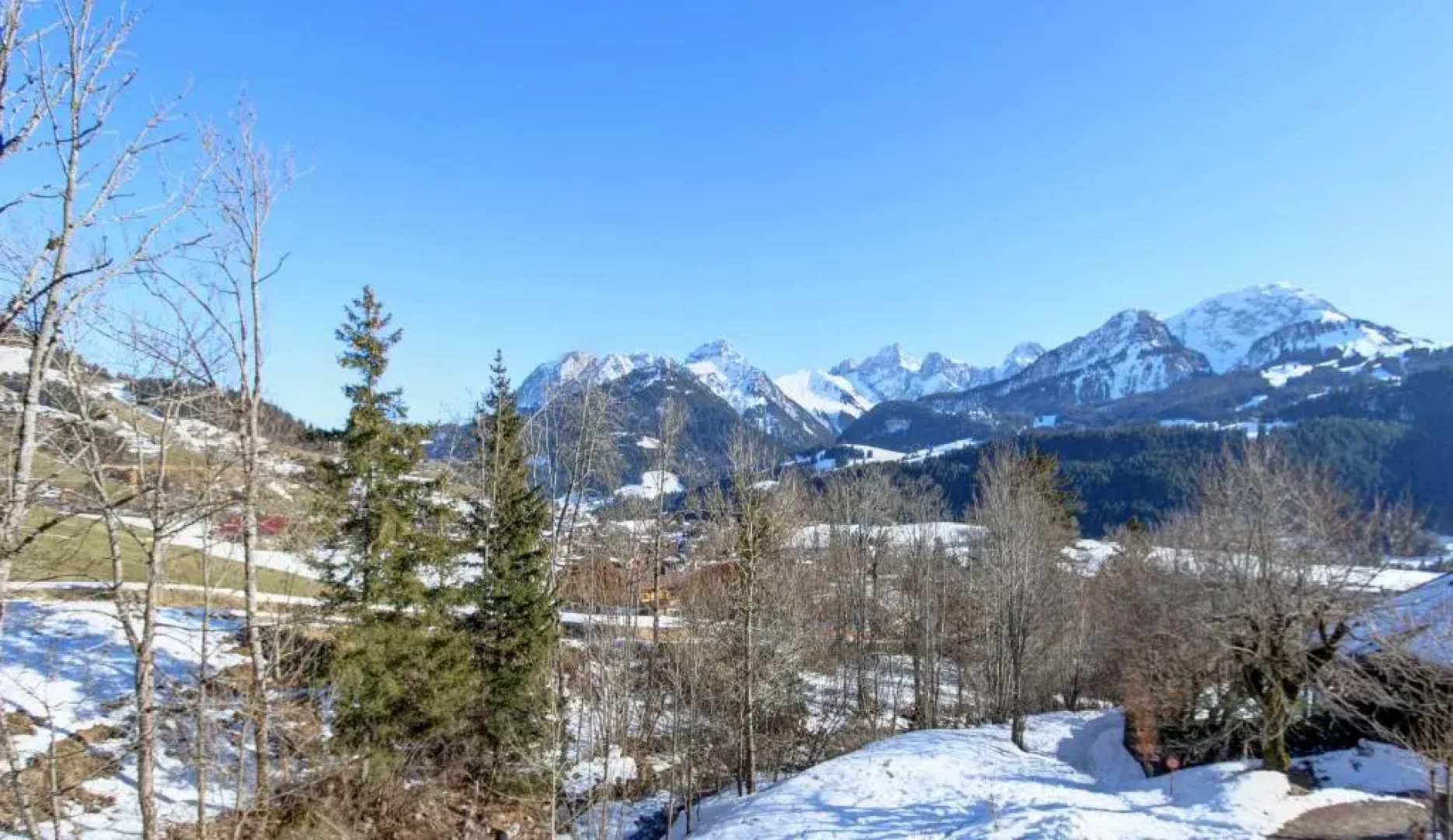 Appartement La Gentiane 63