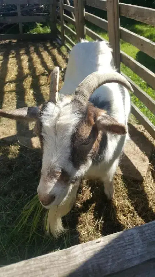 Yourte 4 personnes proche Provins et Disney