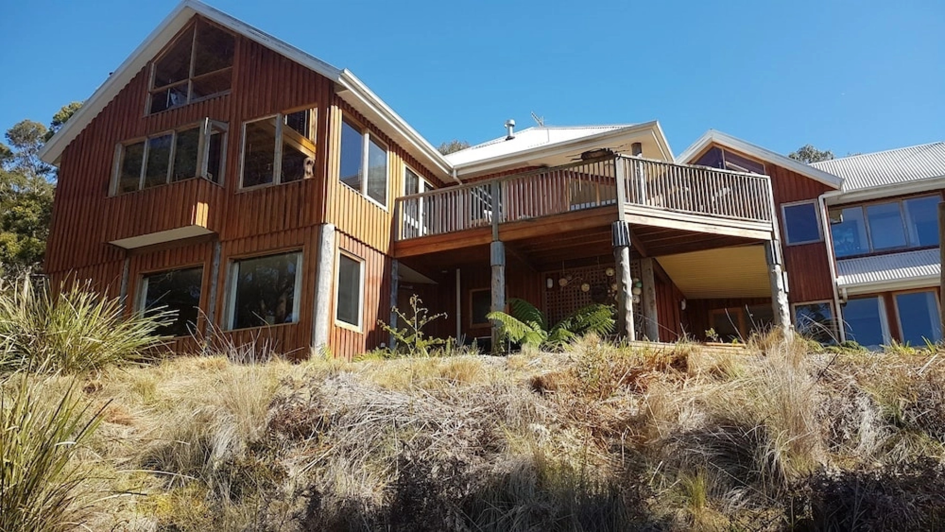 Bed in the Treetops Bed & Breakfast