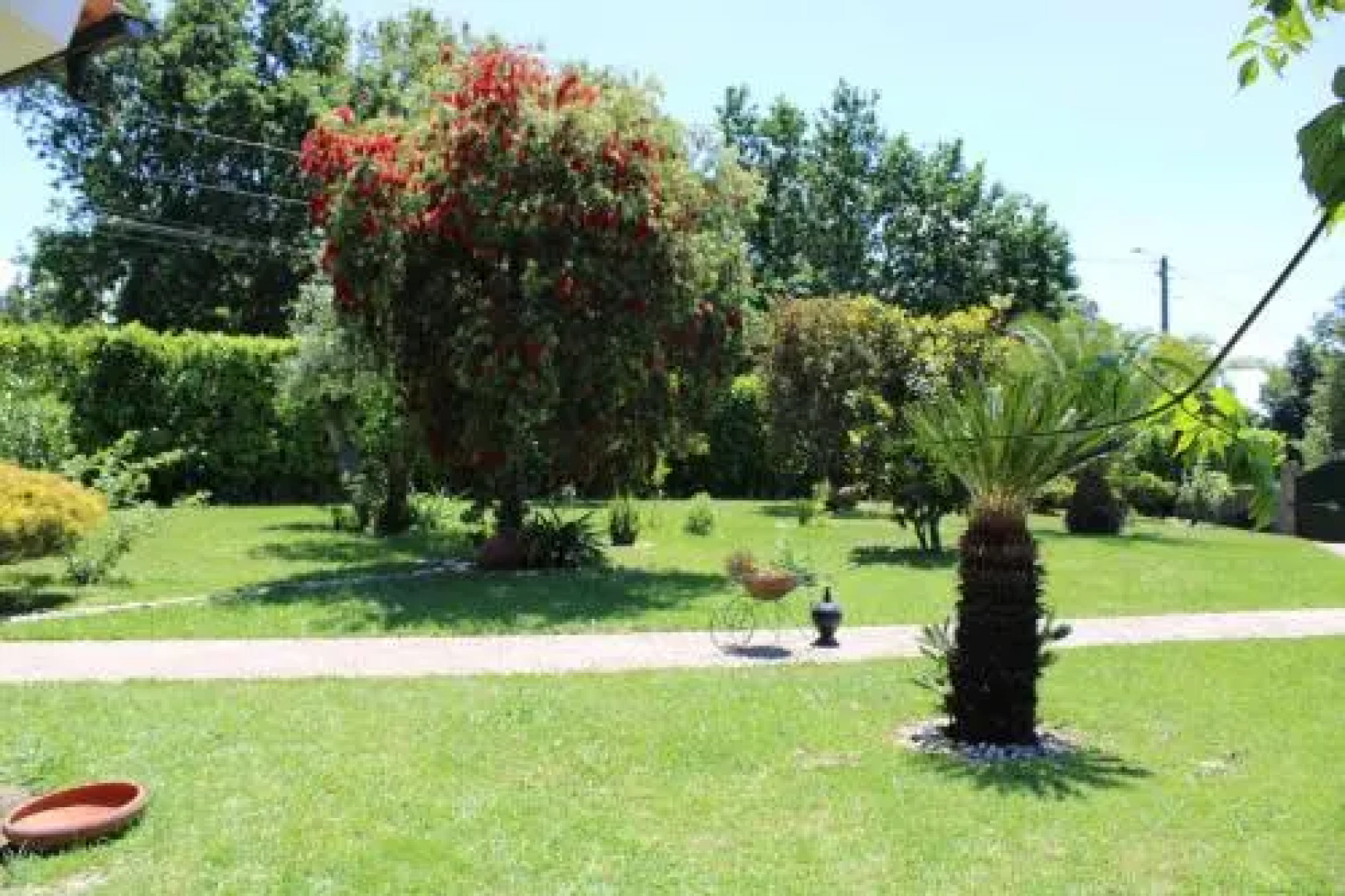 The Oak´S Wolf-Country House