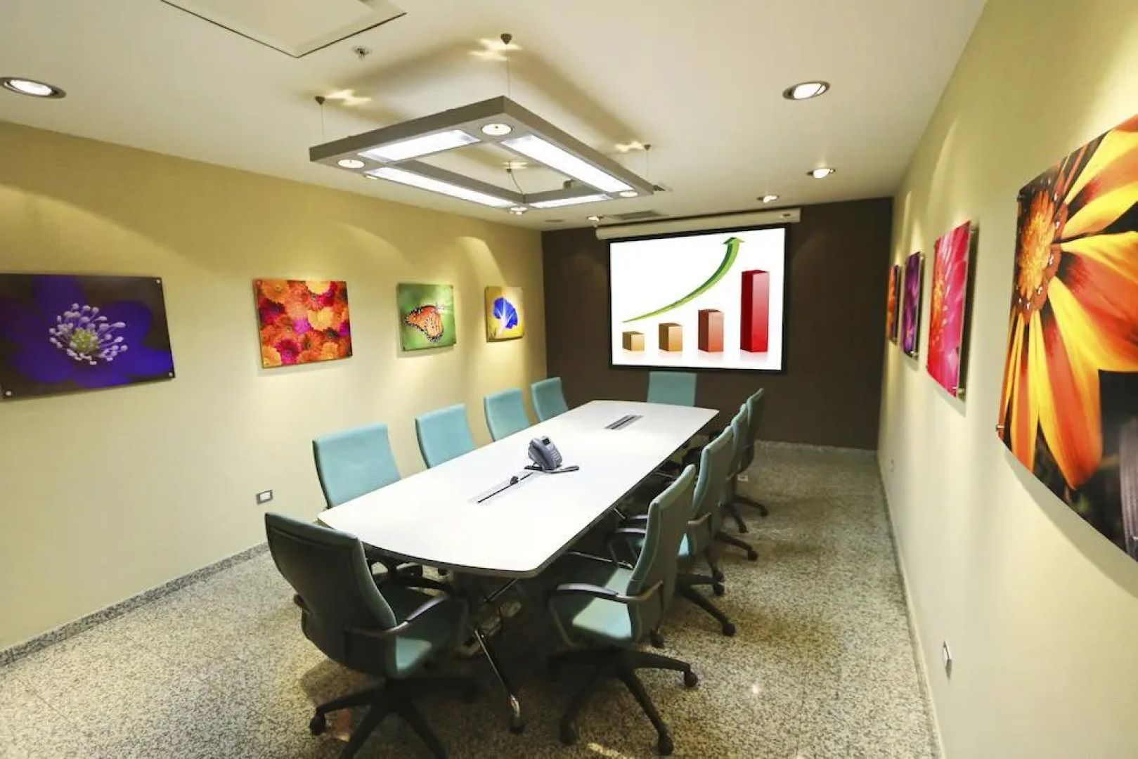 Hotel Ciudad De David