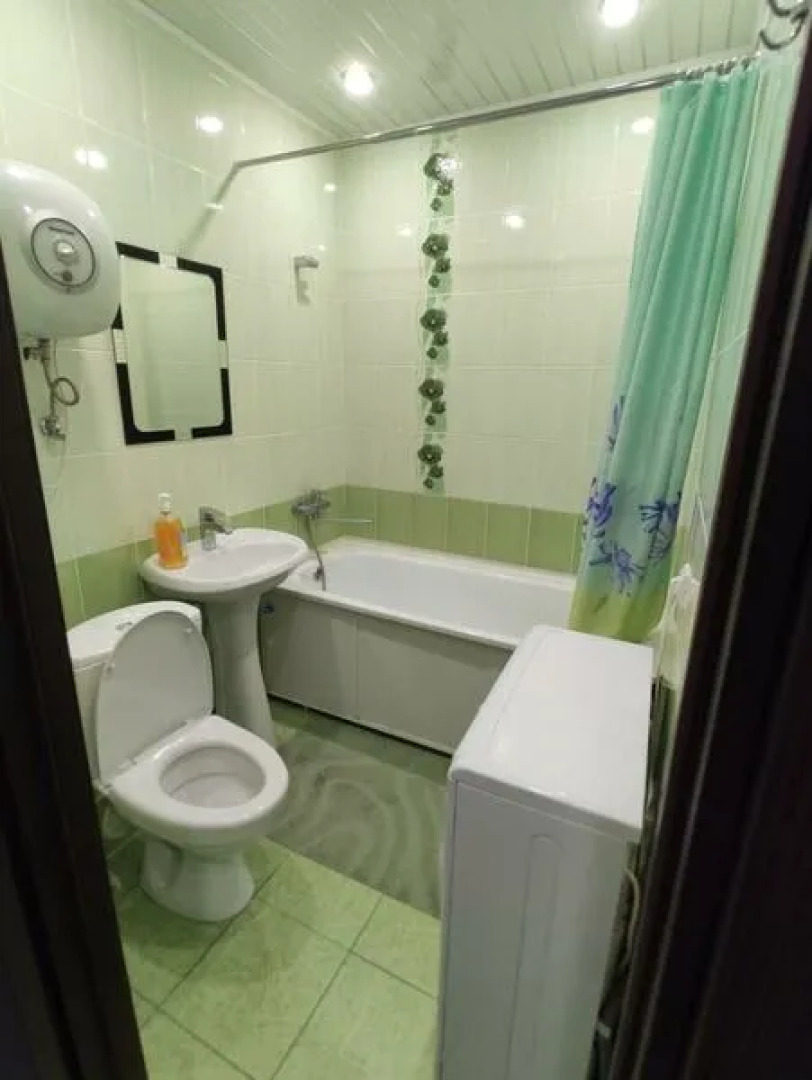 Flat on street Lenina, bld. 19 Selena