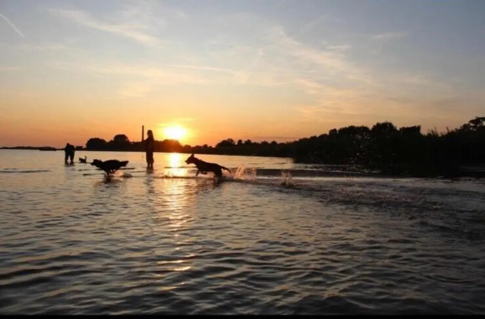 Ferienhaus am Wasser Lemmer 209