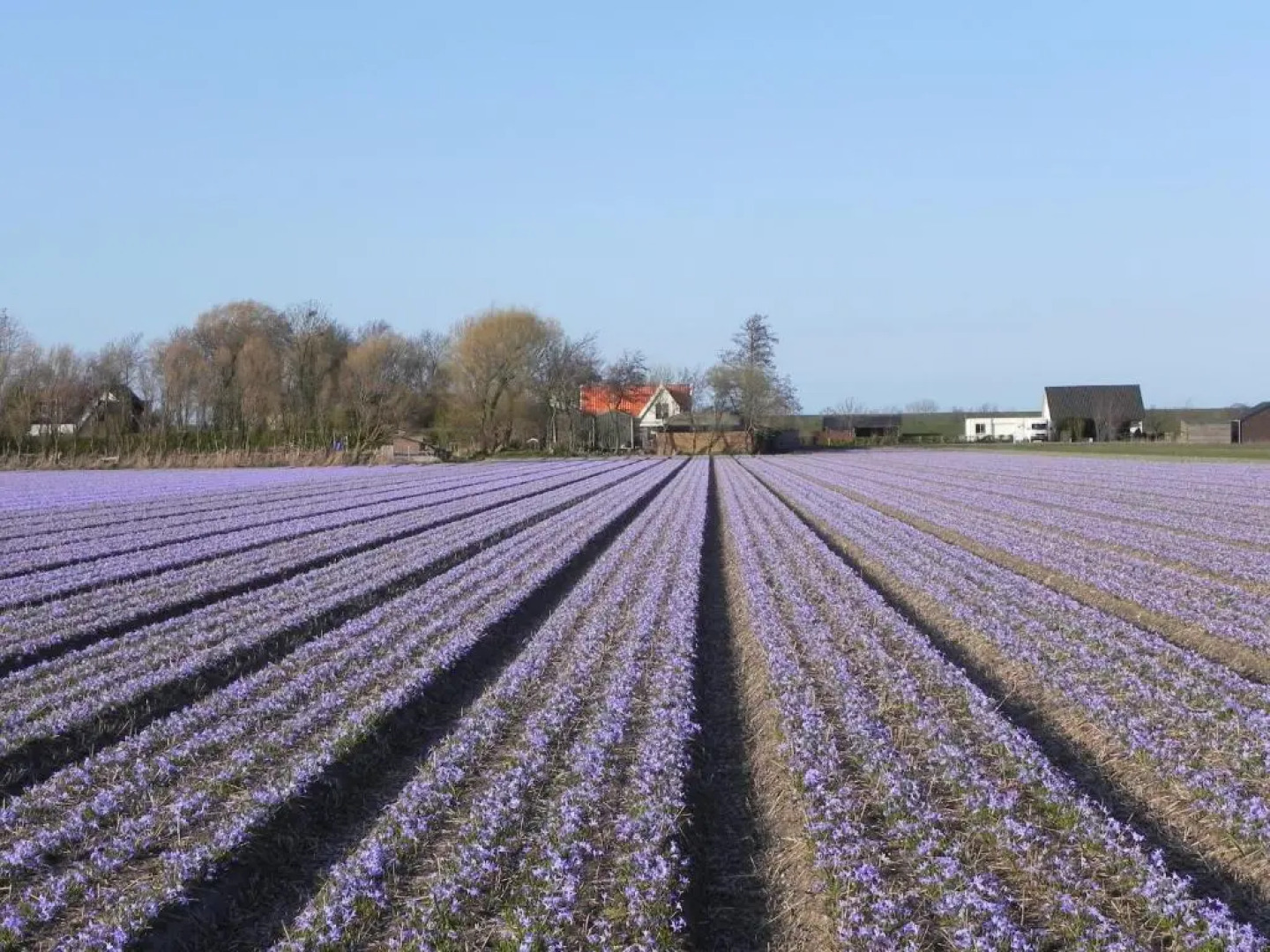 Appels en Peren Bed and Breakfast