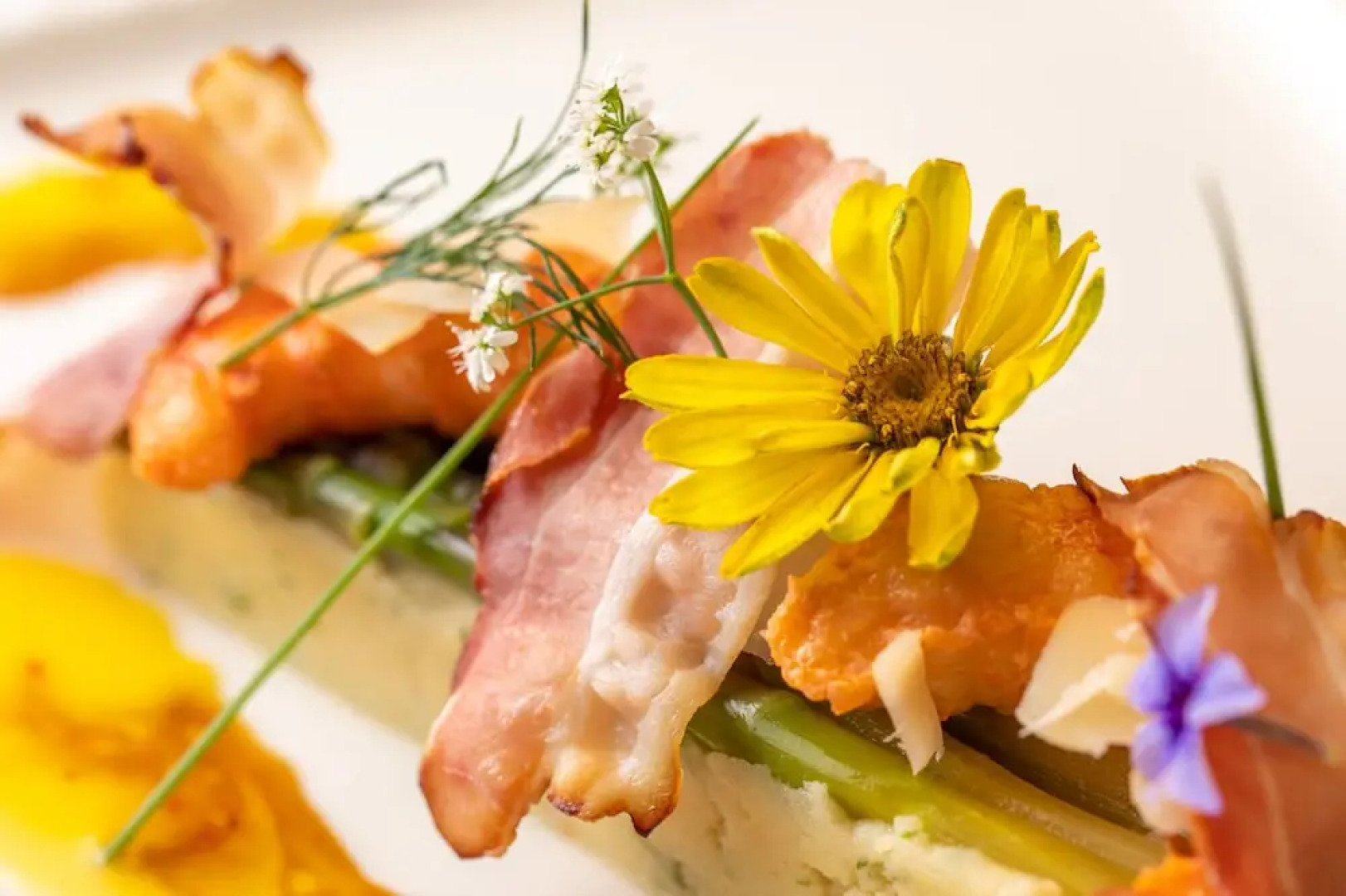 Hôtel La Cauquière