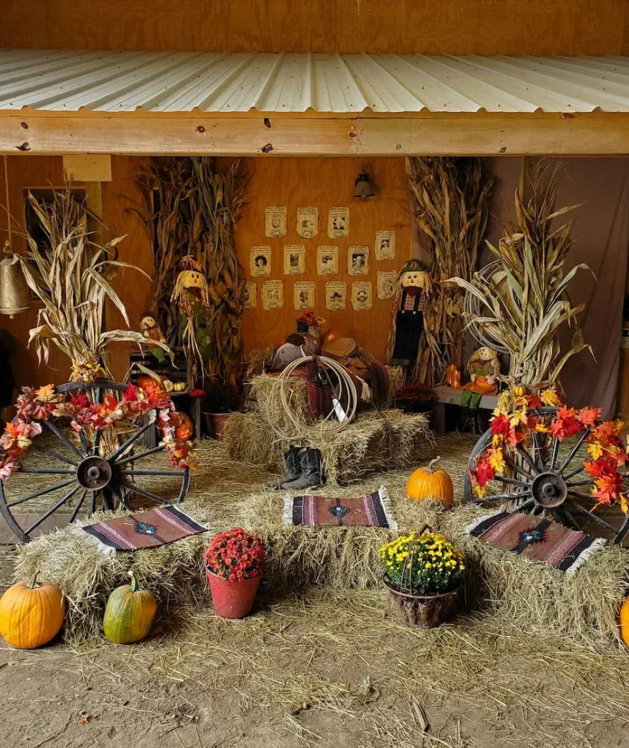 Country Aire Bed & Breakfast