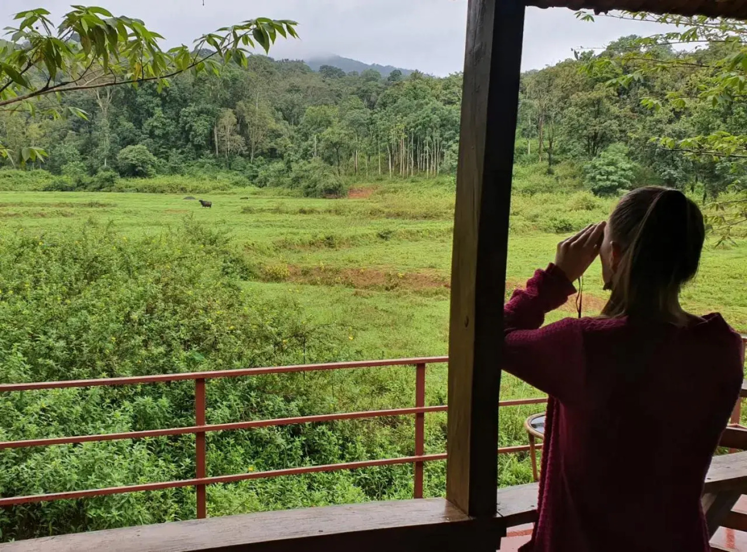 Jungle Retreat Wayanad