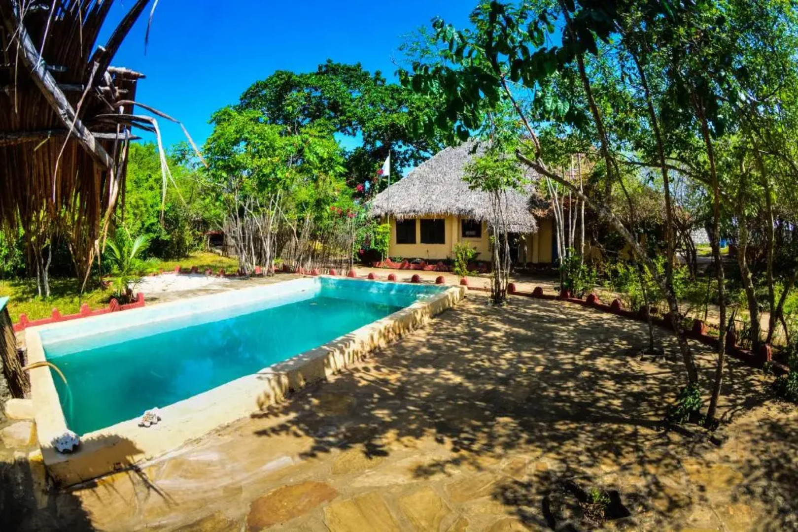 Gecko Nature Lodge & Swahili Divers