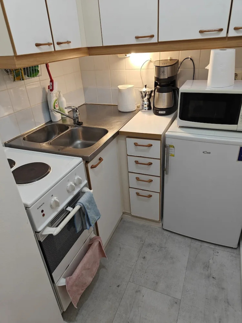 Pet-friendly 4 Bed Apt in Turku With Park Views