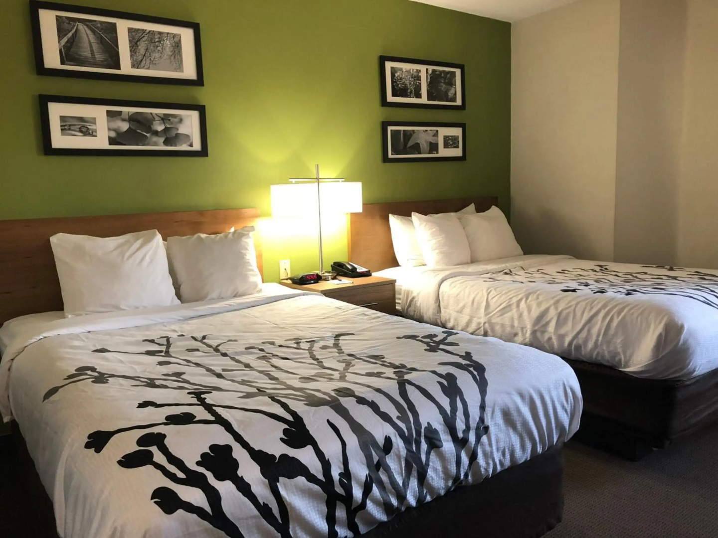Sleep Inn Hardeeville - I-95