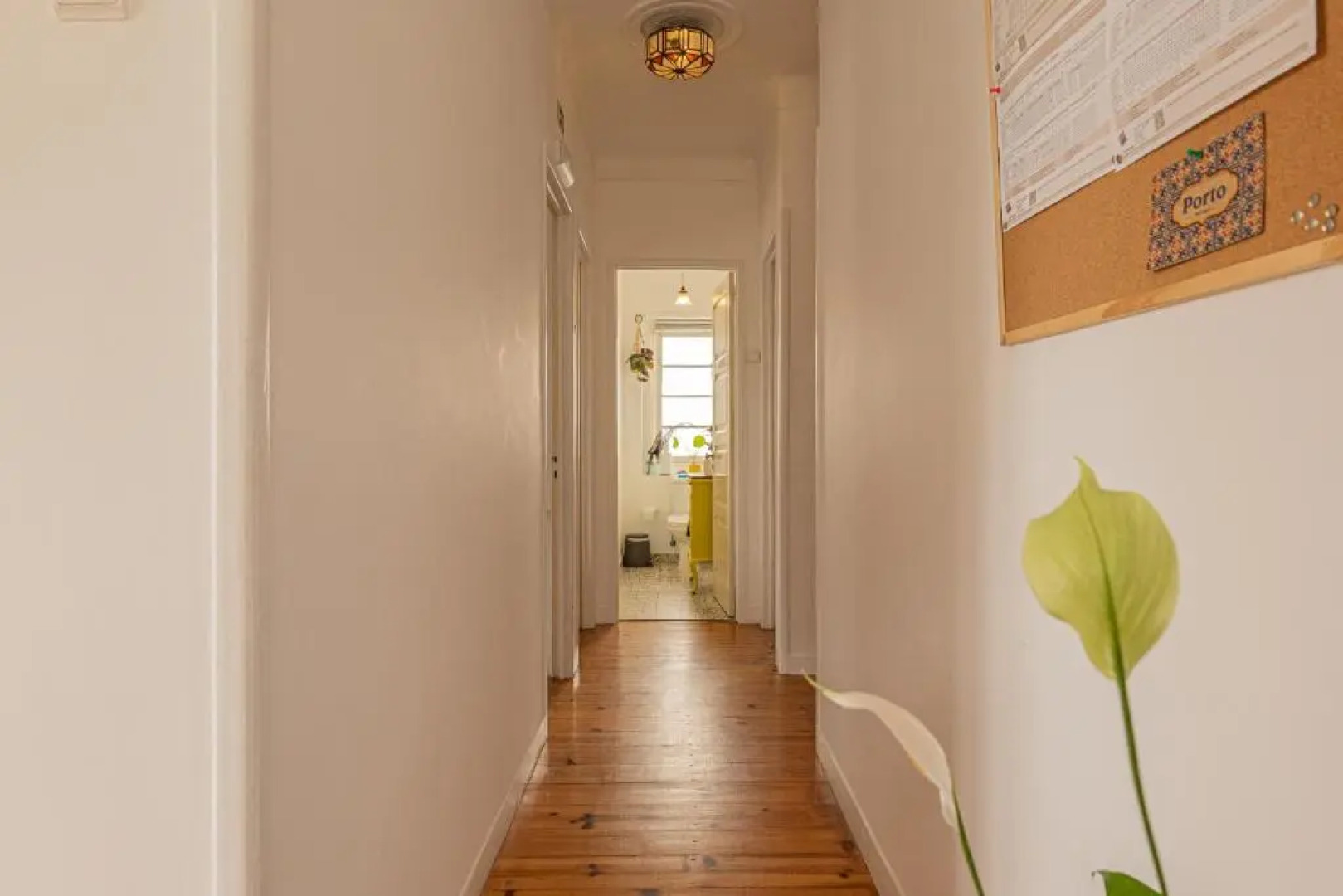 Olive3 Ericeira Hostel