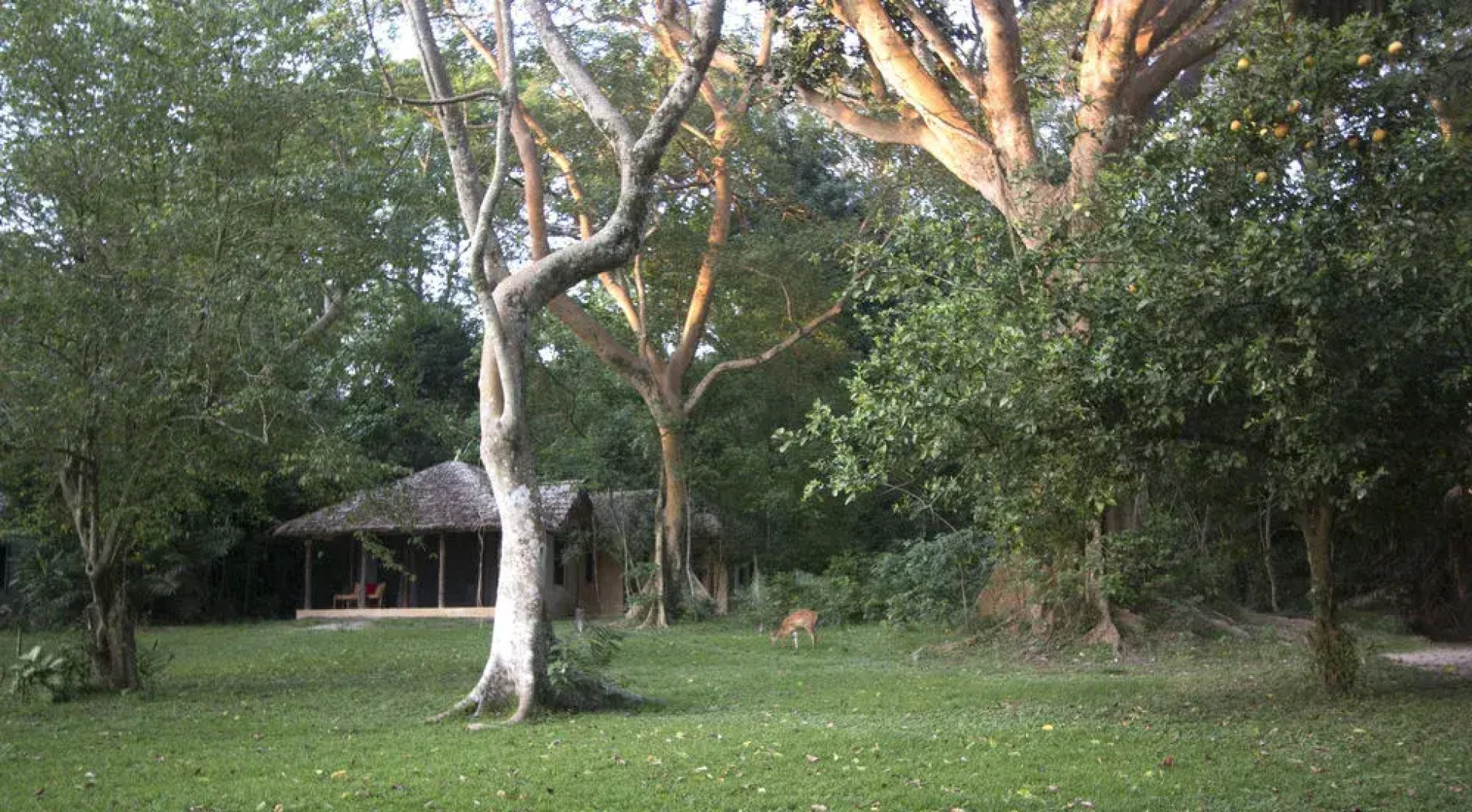 Rubondo Island Camp