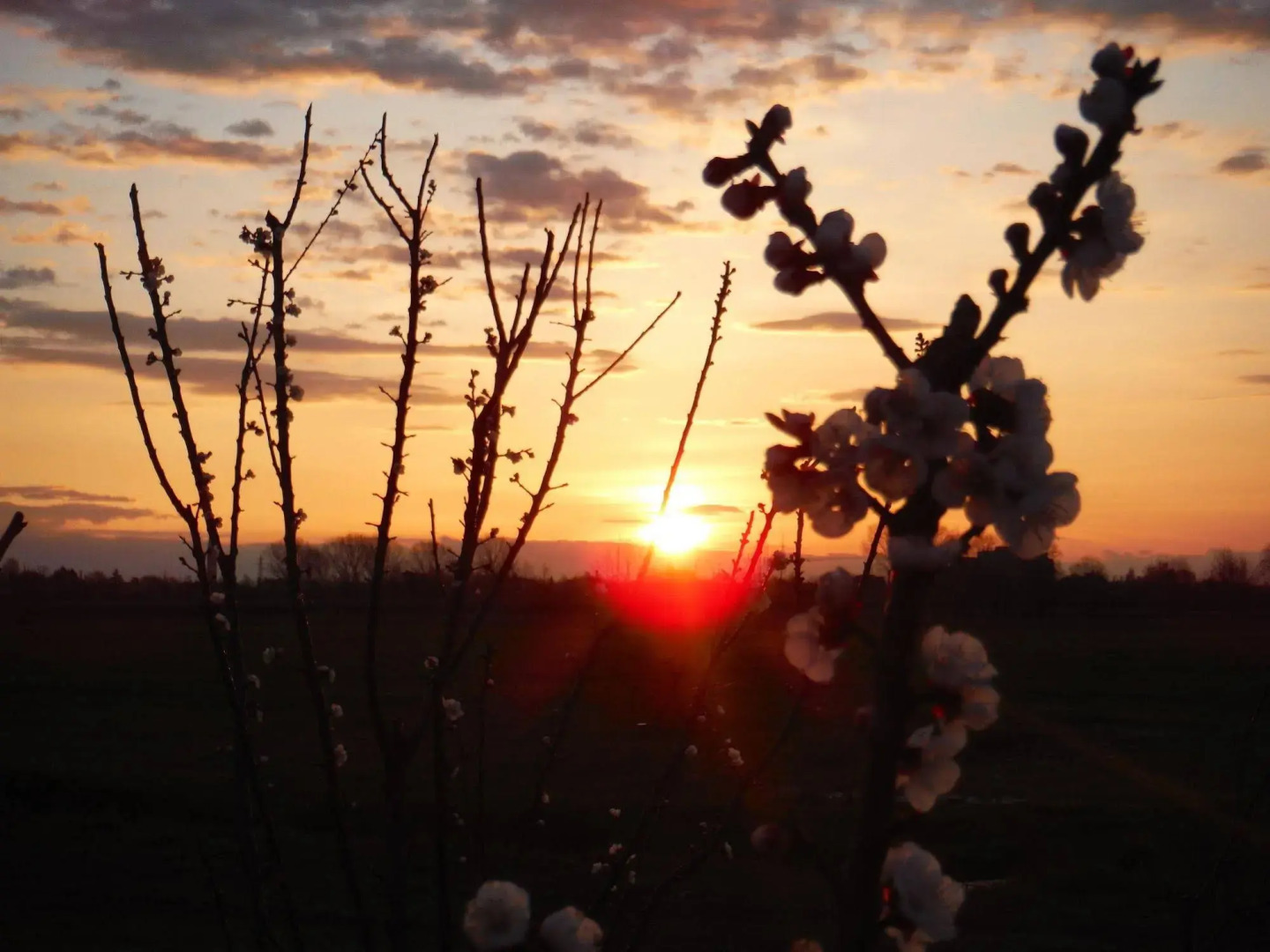 Antico Borgo Torricella