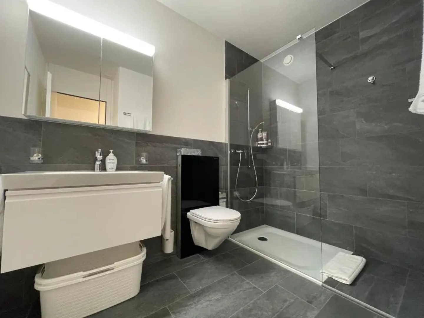 Locarno-Monti: Solemonte Apt.103