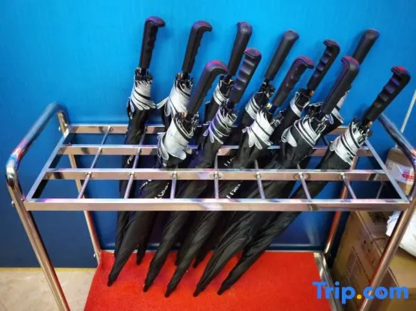 Wutong Hot Spring Hotel