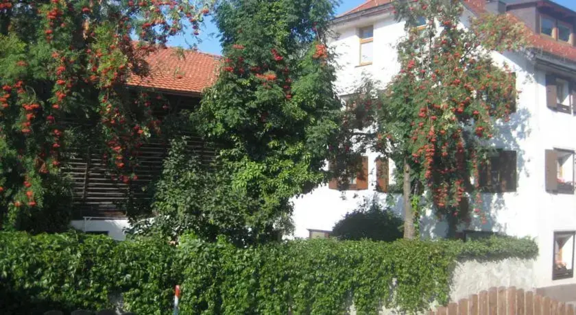 Anton und Edith Zimmermann