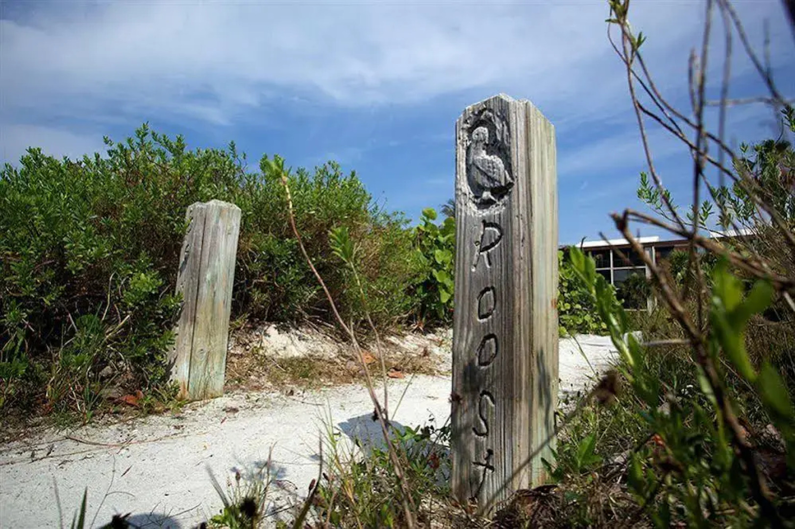 Pelicans Roost Gulf Front Condos