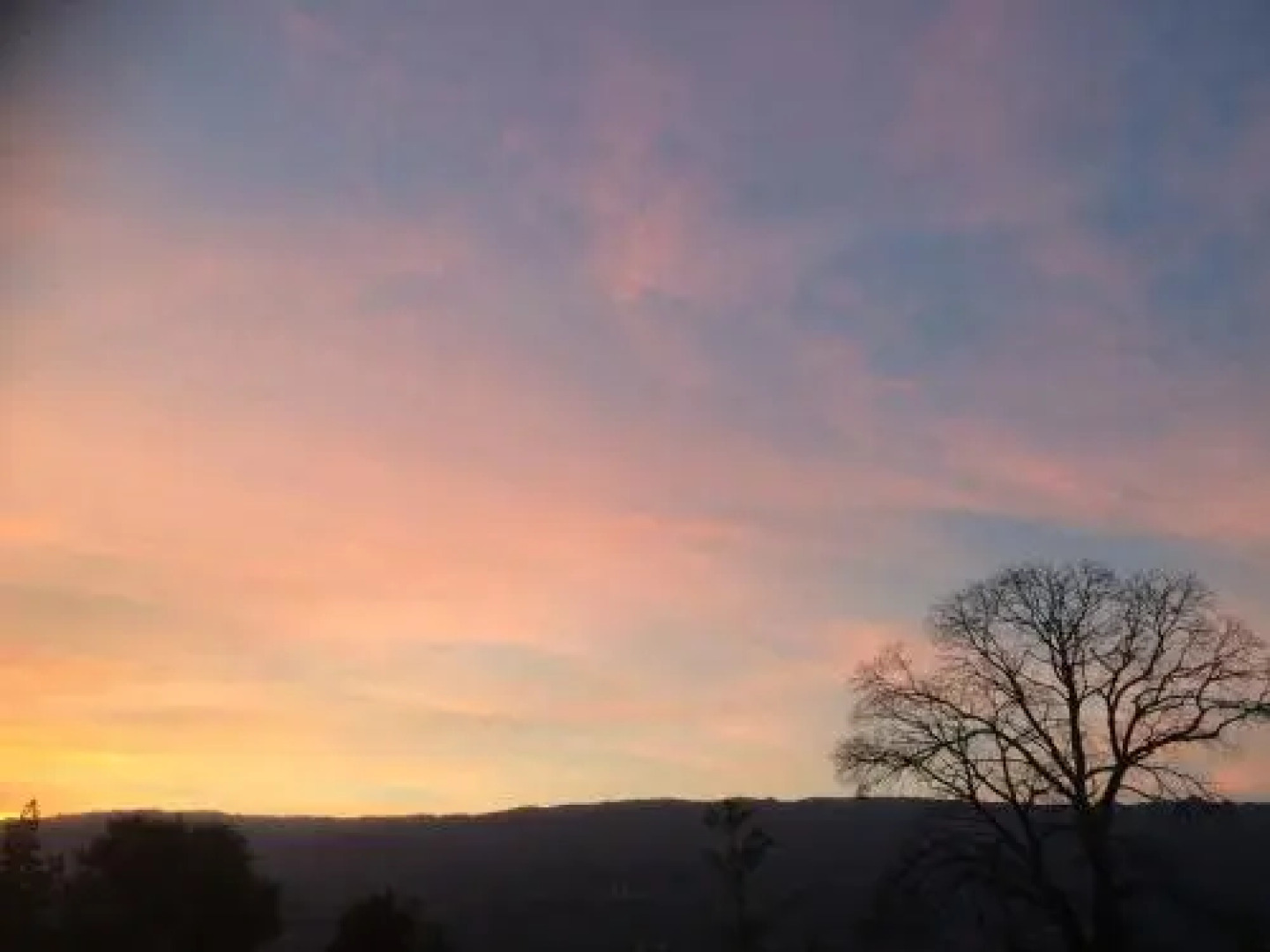 Land Story - Rural House