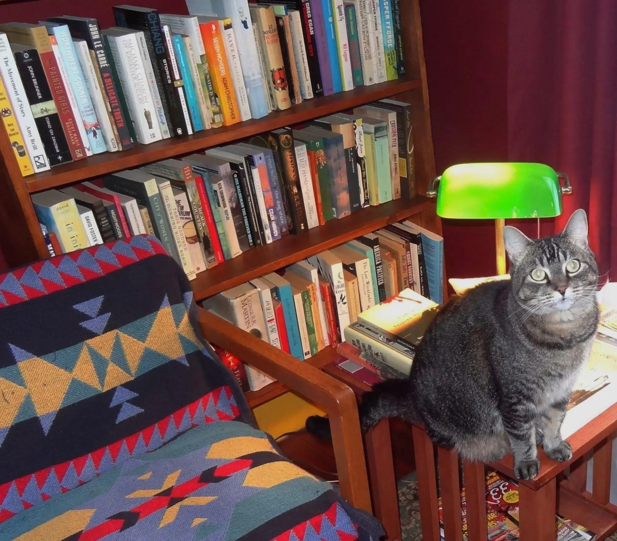 The One Cat B&B