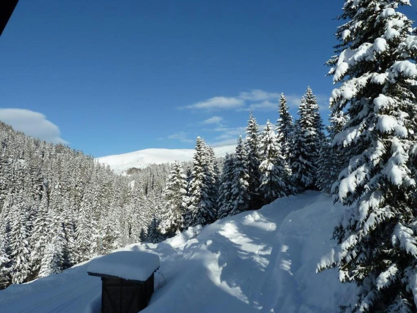 Bruckerhütte