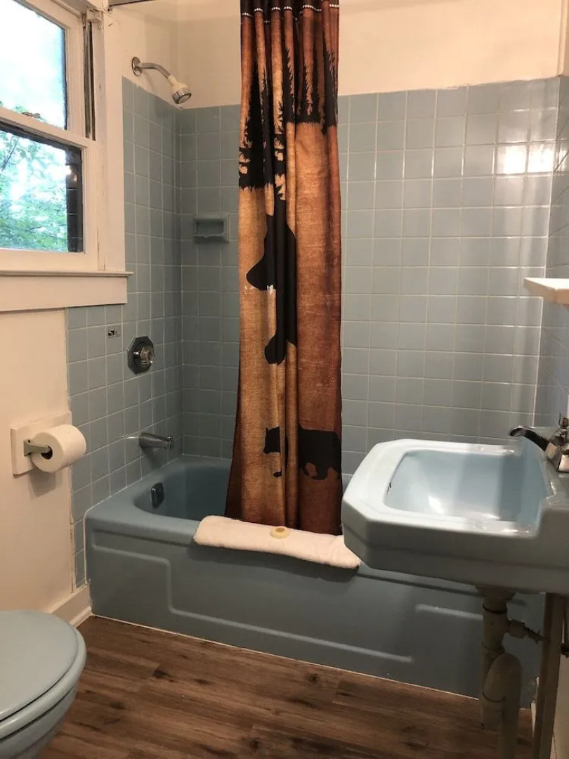 Lake George Bears Den