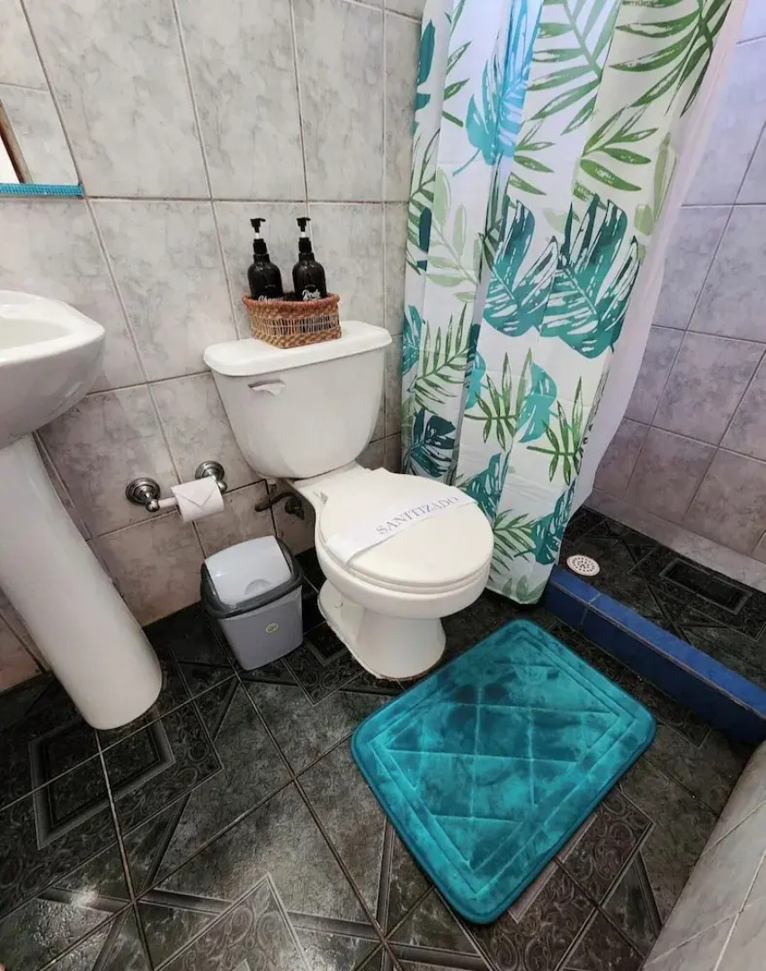 Hostal Del Bosque Temuco