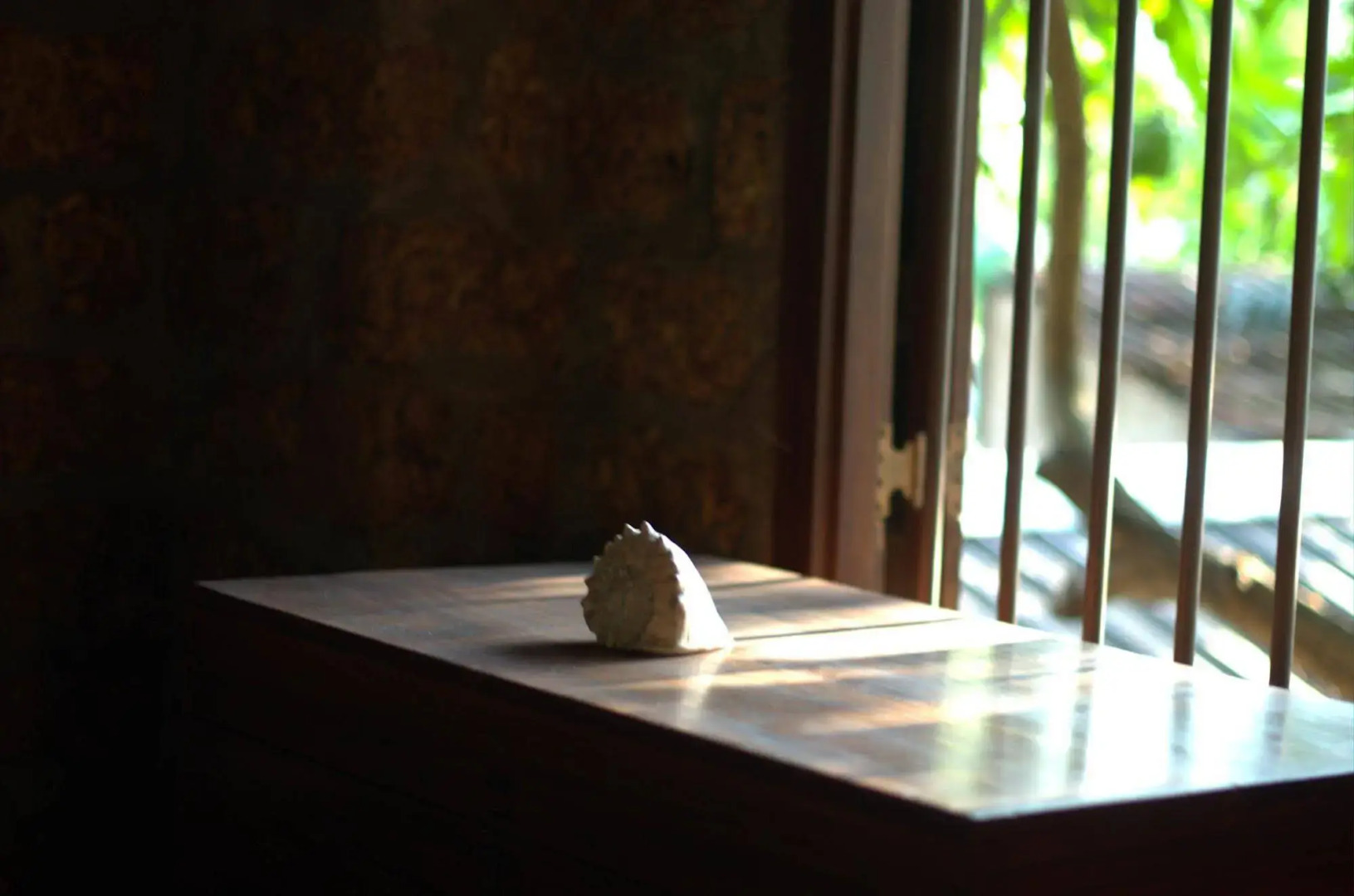 Hostel City Hub Colombo Airport