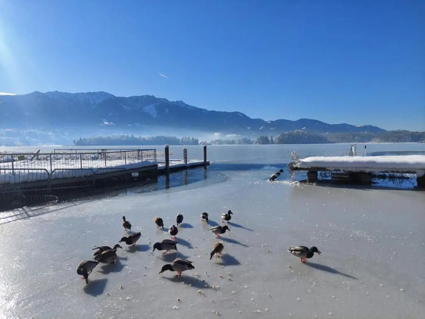 Harmonie Hotel am See