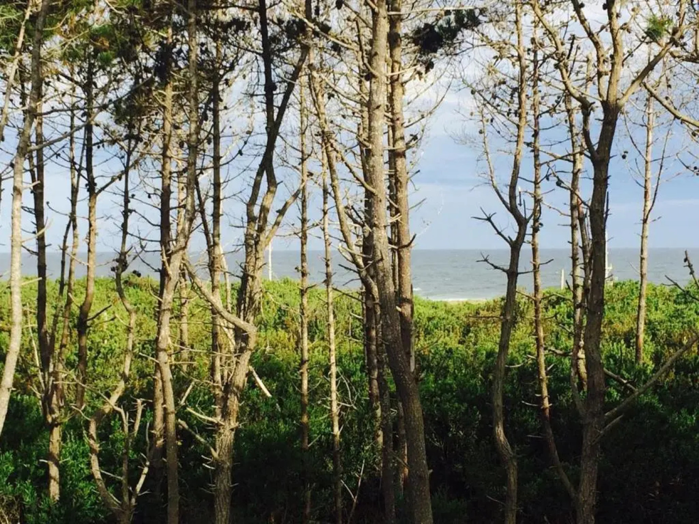 Apart Hotel El Caracol