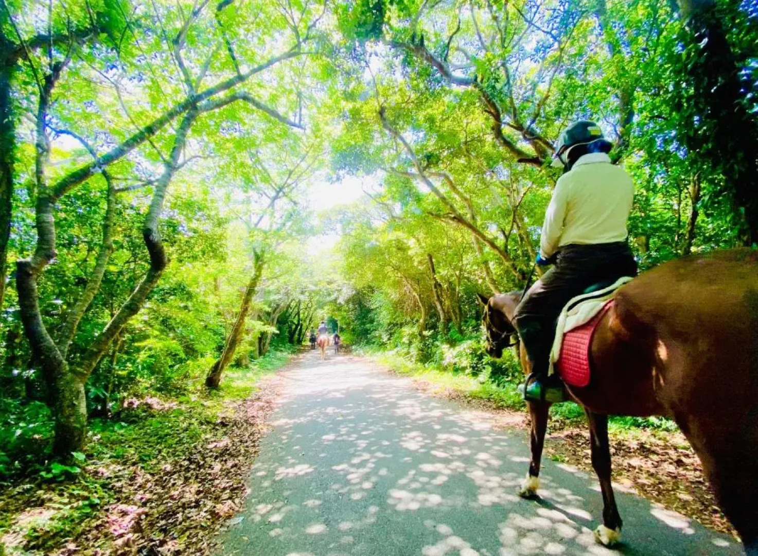 Muwmin Farm - Hostel