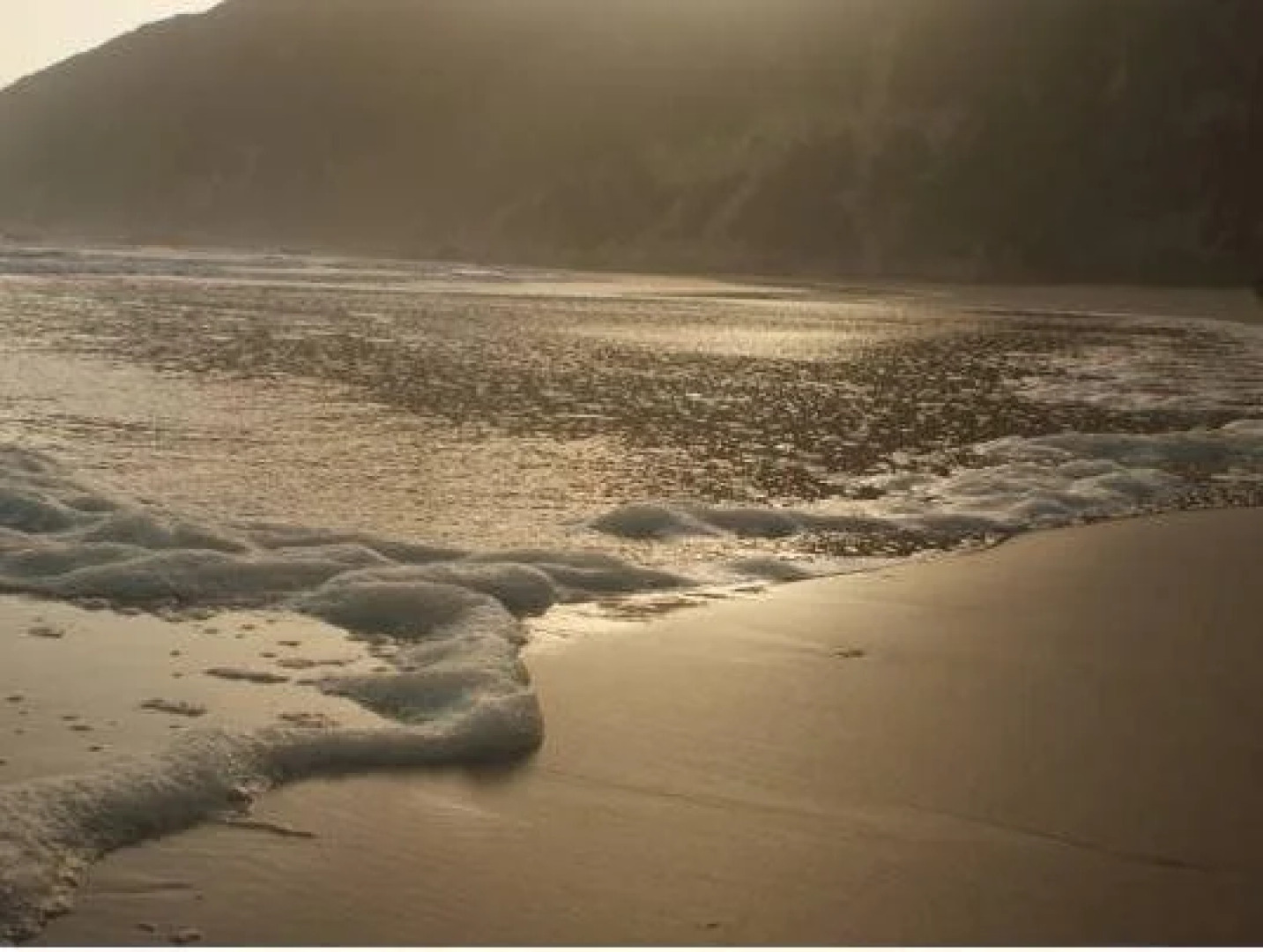 Afrovibe Adventure Lodge