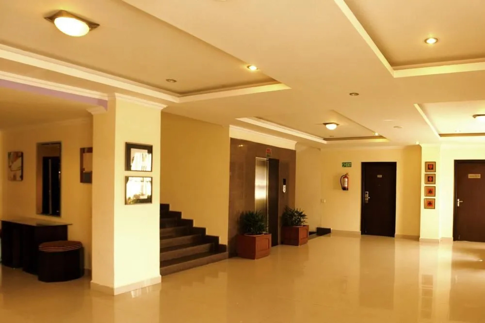 Treebo Trend GK Conifer