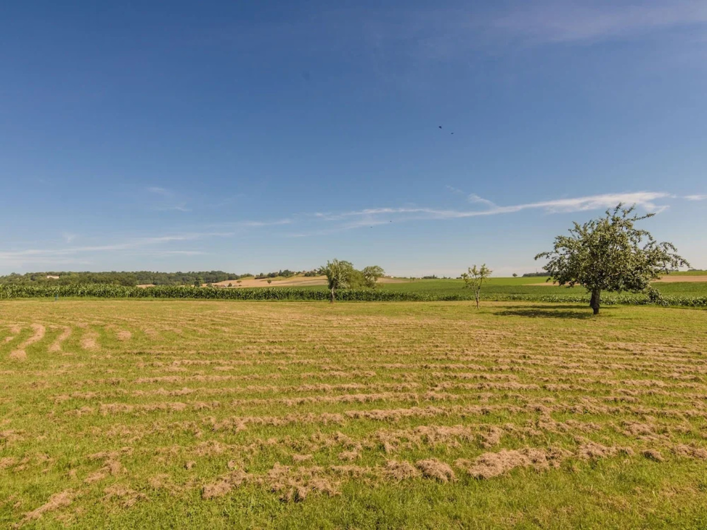 Charming holiday home in Aquitaine with Swimming Pool
